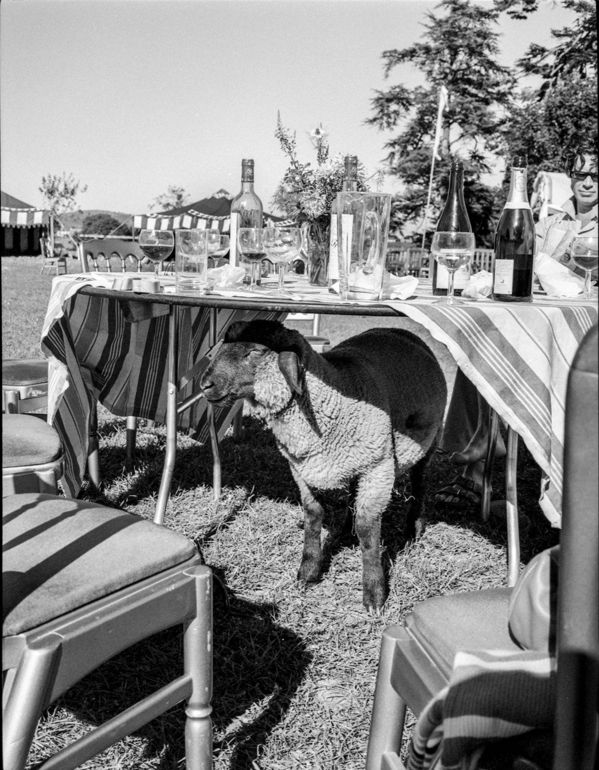 Wedding Lunch in Westmeath, 2005.