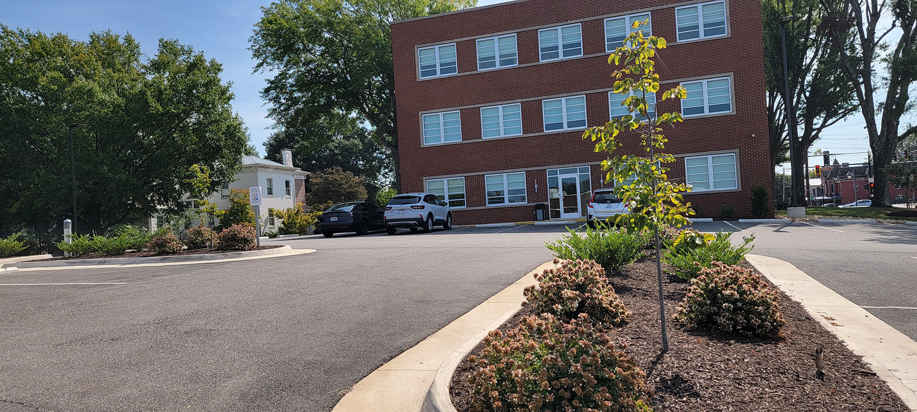 Extensive Asphalt Parking Lot was Redesigned to Include Planting Islands with Tree Uplighting
