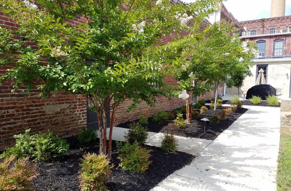 500 Block Craghead Street Danville VA Garden Between Historic Buildings 2021