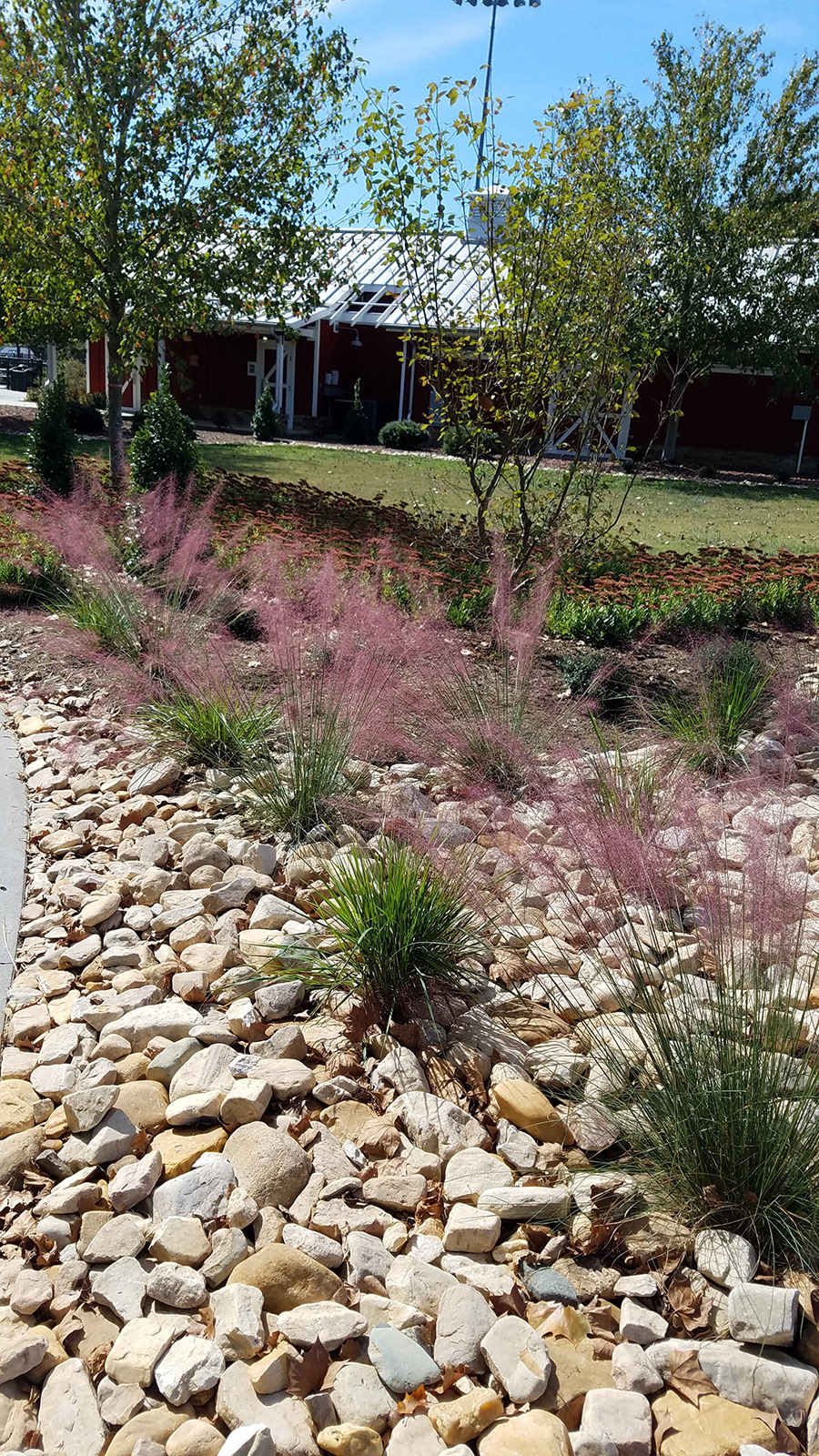 Riverstone Mulch & Muhly Grass