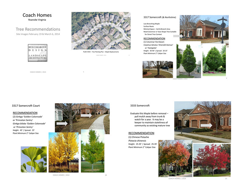 Roanoke VA Residential Plans
