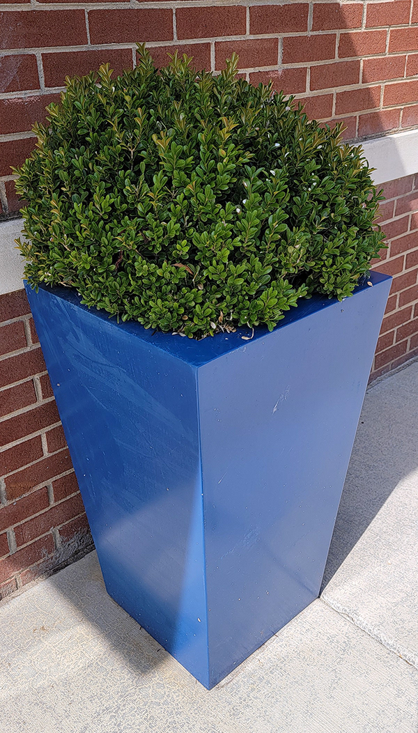 Blue Planters to Extend Color Theme of Hotel Interior | Planters by Tournesol Siteworks