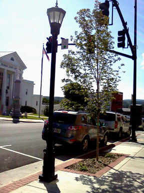 Rocky Mount Uptown Streetscape Master Plan (Project Landscape Architect while at HDLA) Engineering & Project Management: Earth Environmental Civil | Rocky Mount VA