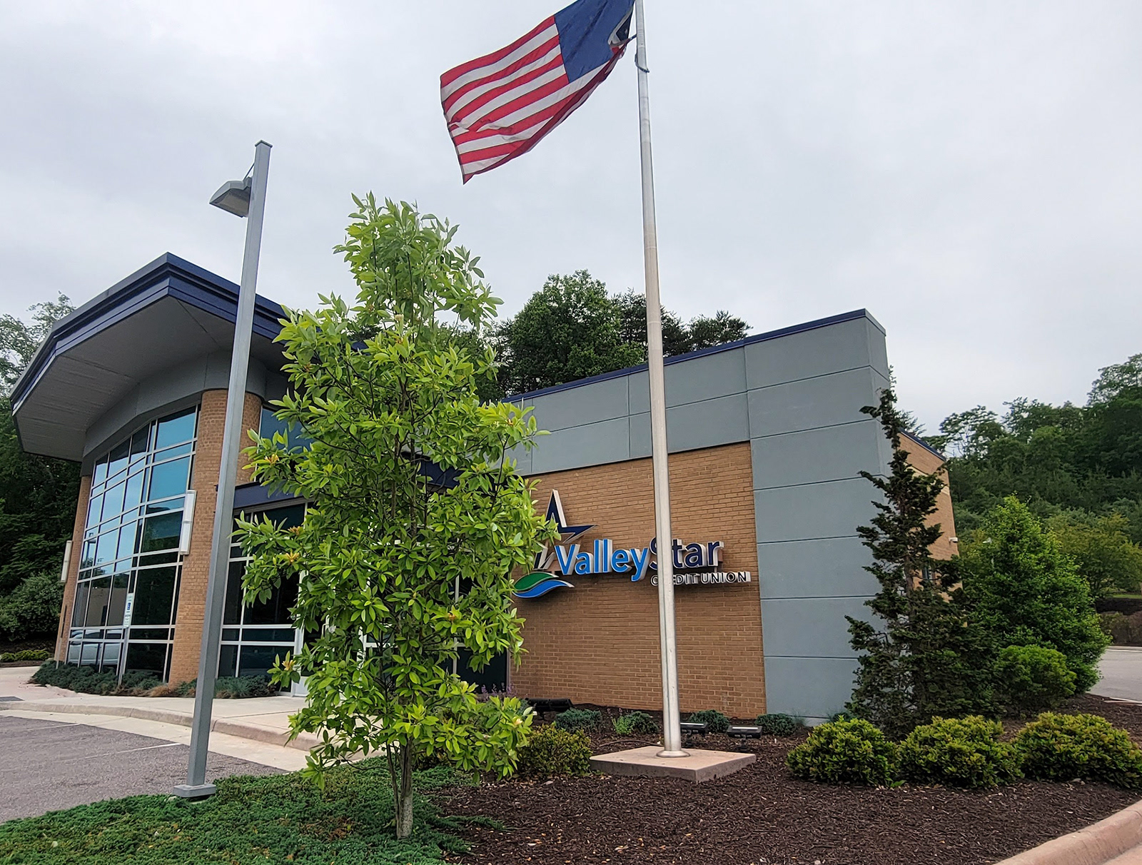 Mature Landscaping - 2023 - Valley Star Credit Union - Clearbrook VA
