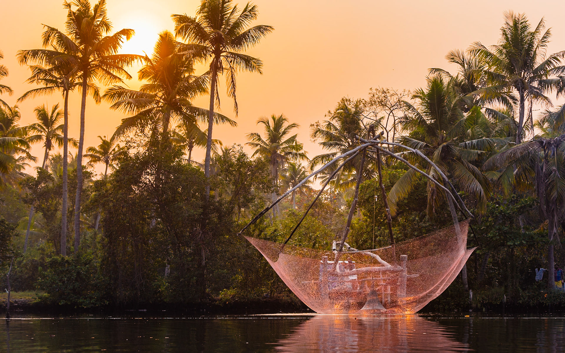 Fishing in the Backwaters, India