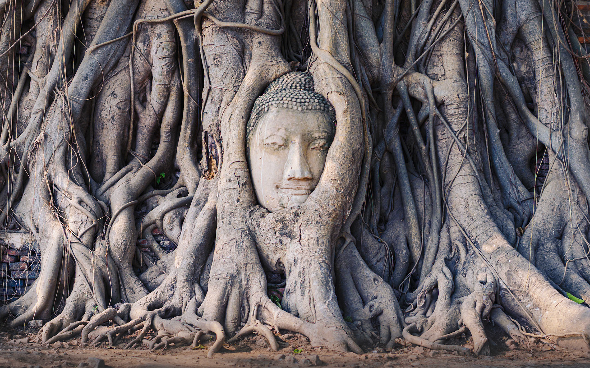 Veiled figure, Ayutthaya
