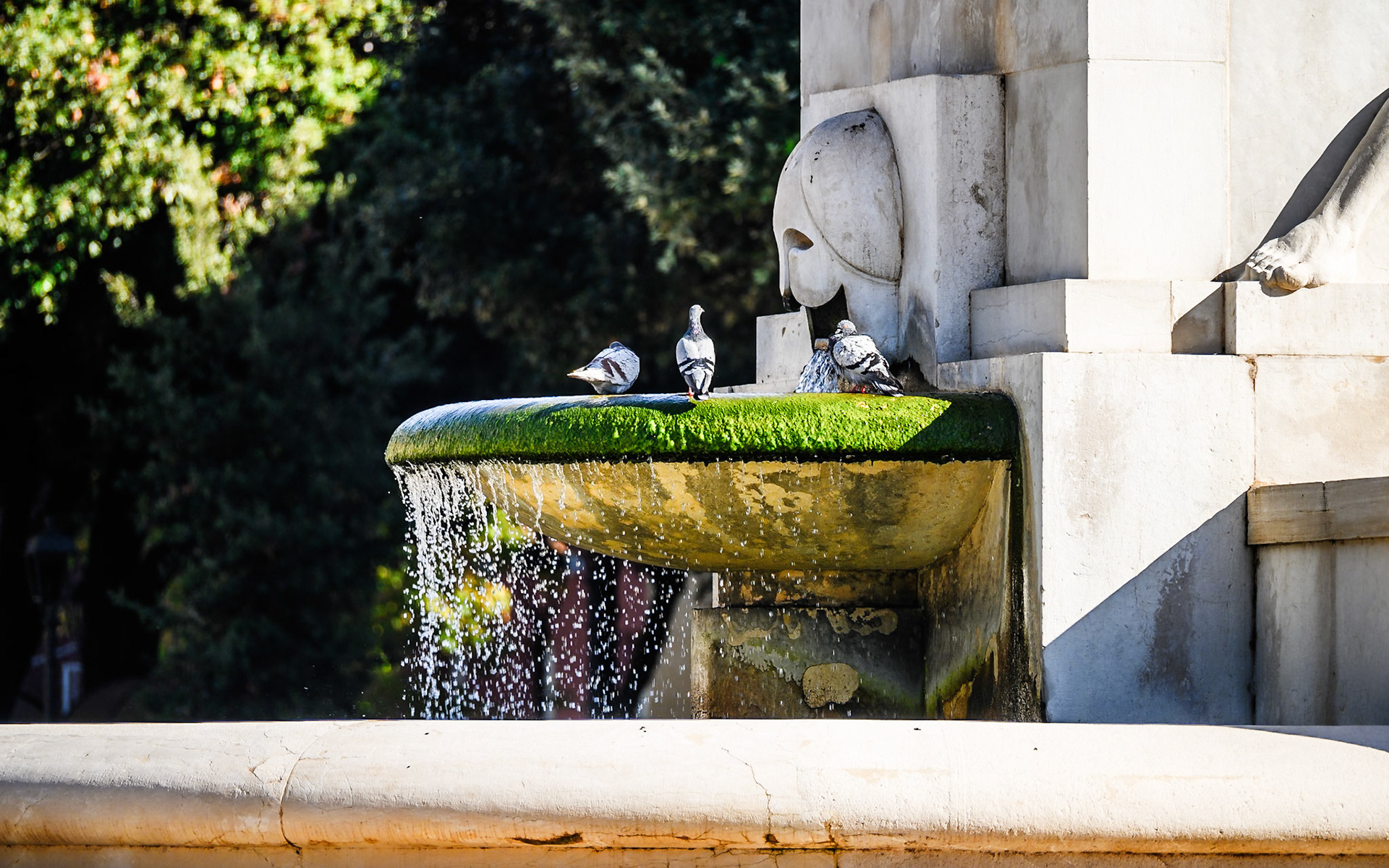 Viale della Libertà, Forlì