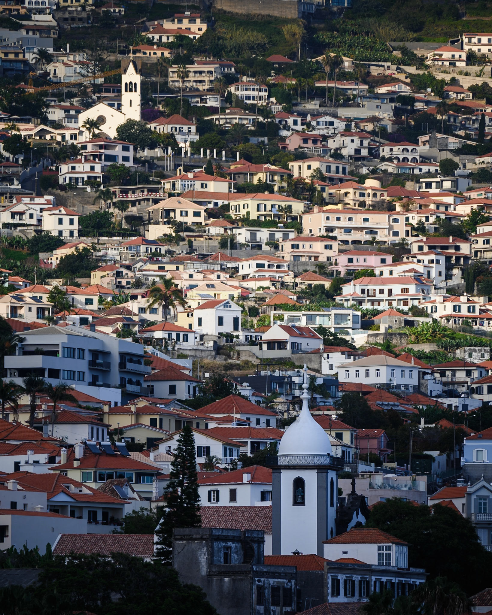 Promenade do Funchal, Funchal