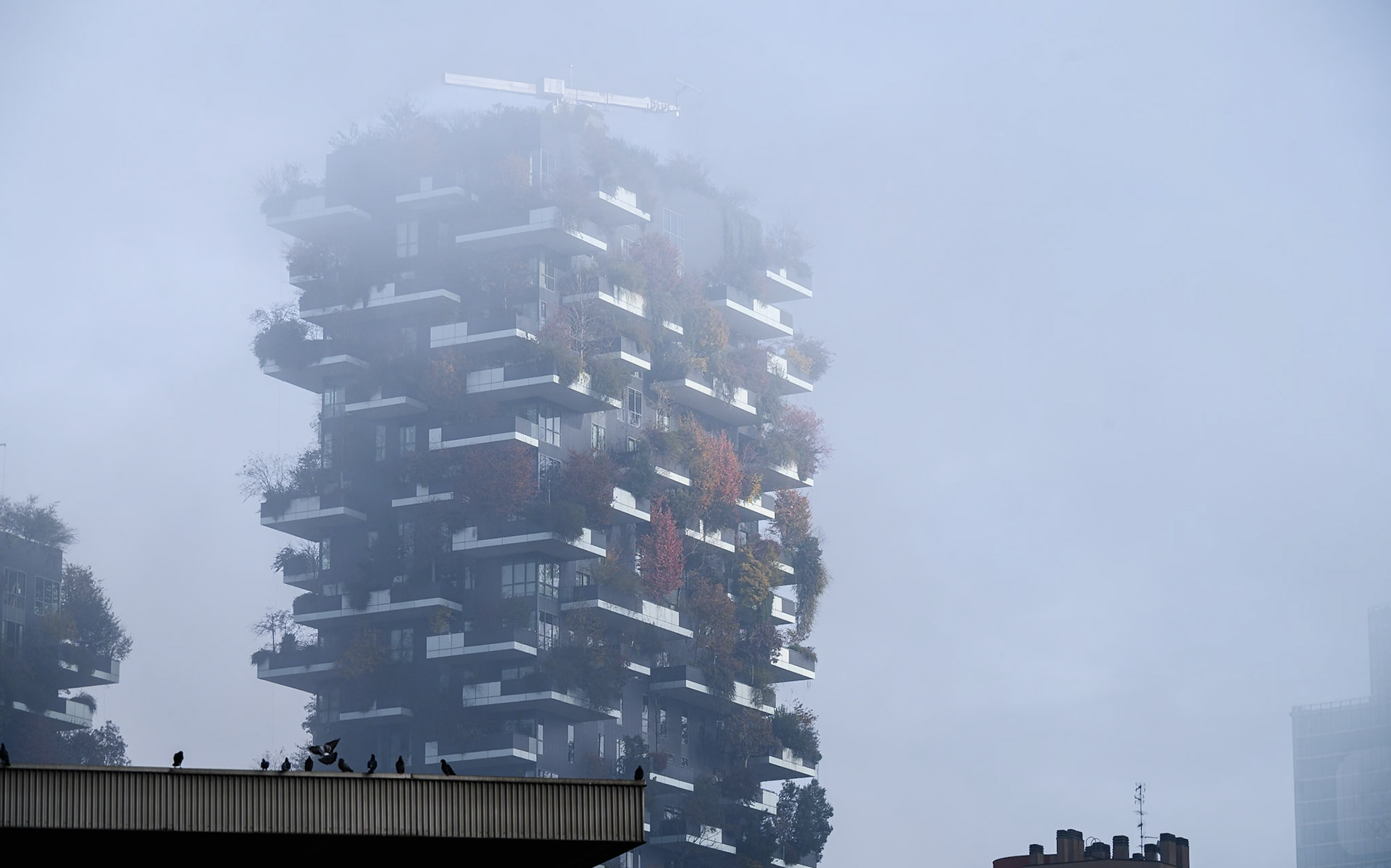 Progetto Porta Nuova, Milan