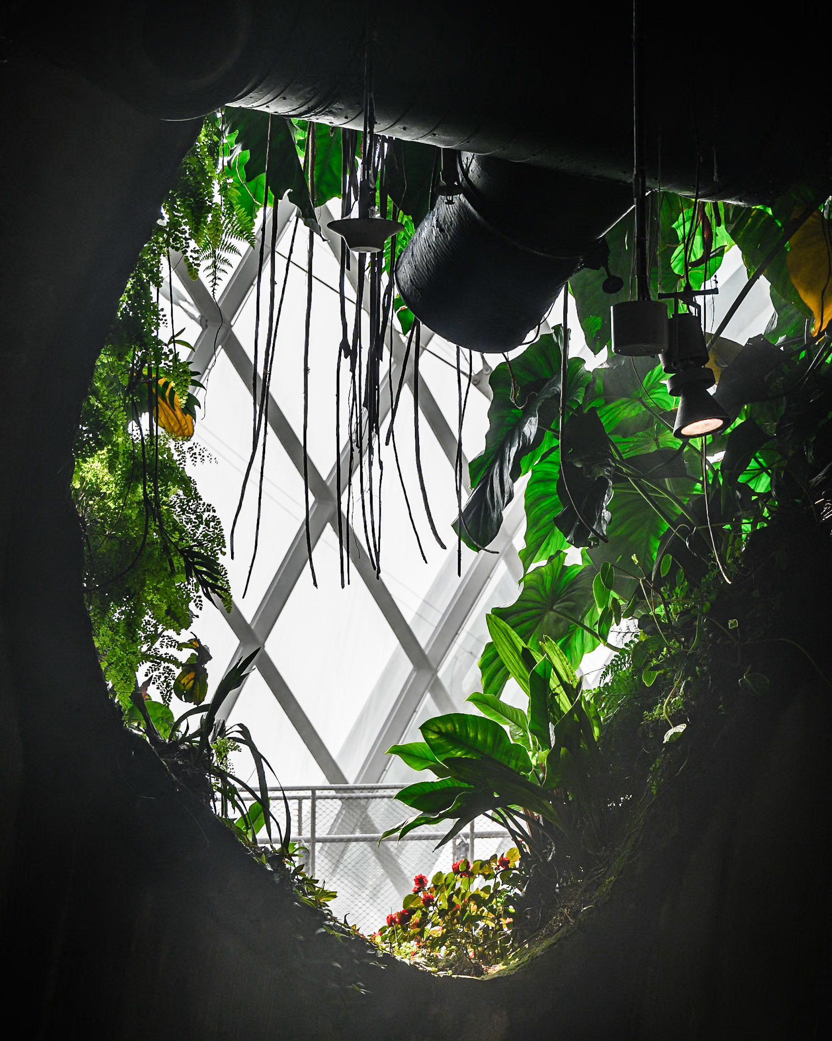 Gardens by the Bay, Singapore