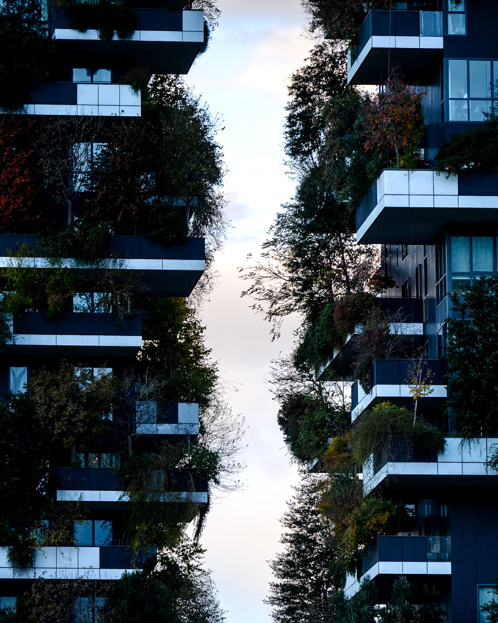 Progetto Porta Nuova, Milan