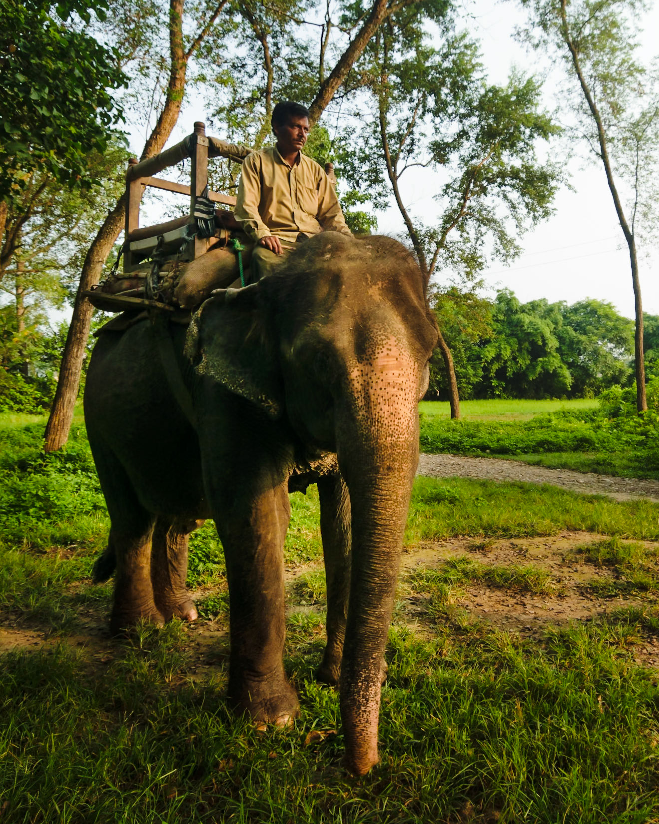 Morning ride, Nepal