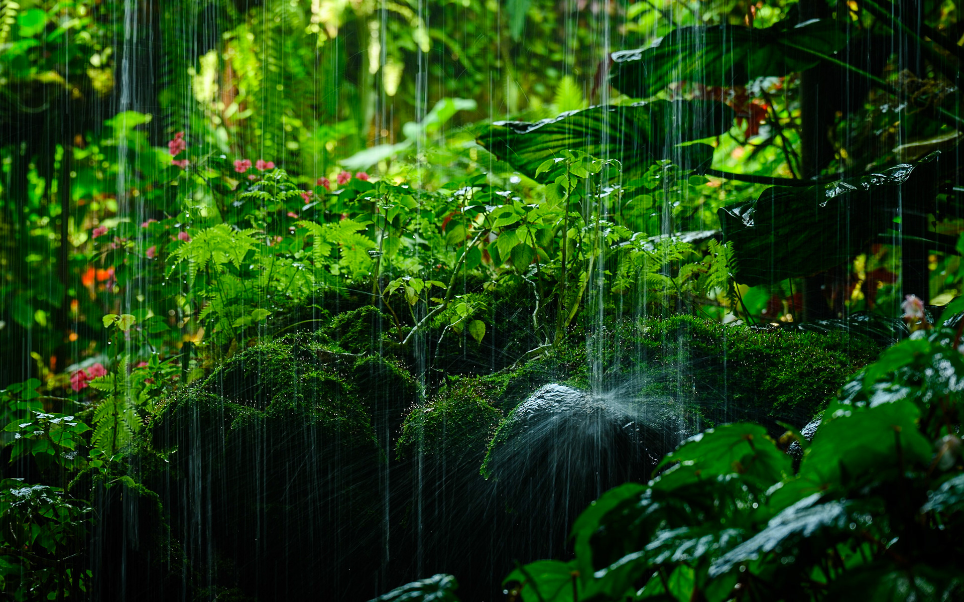 Gardens by the Bay, Singapore