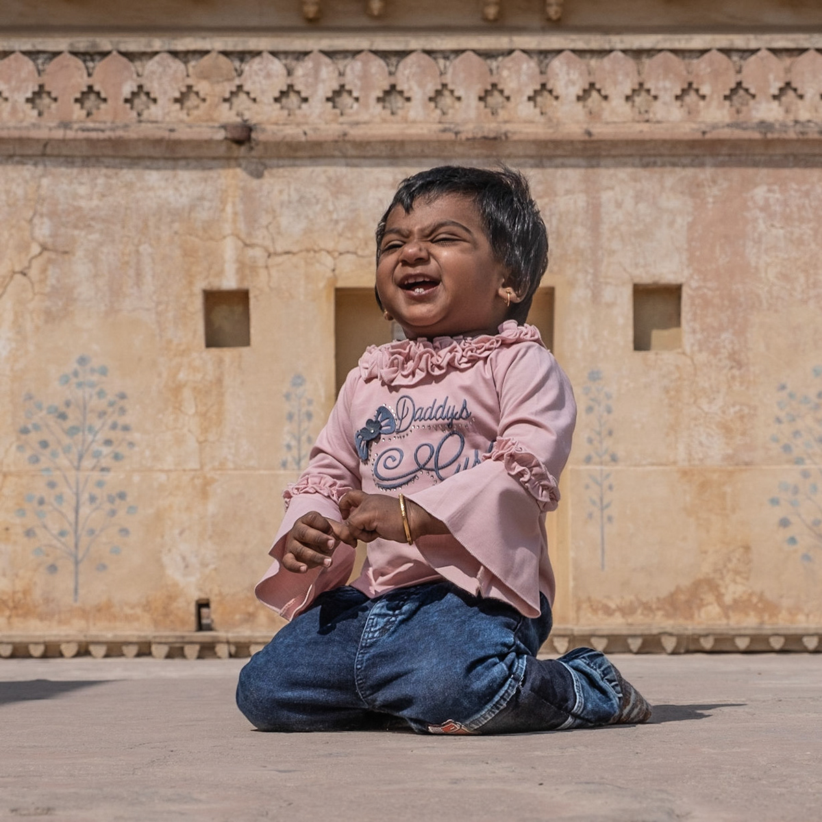 Amber Fort