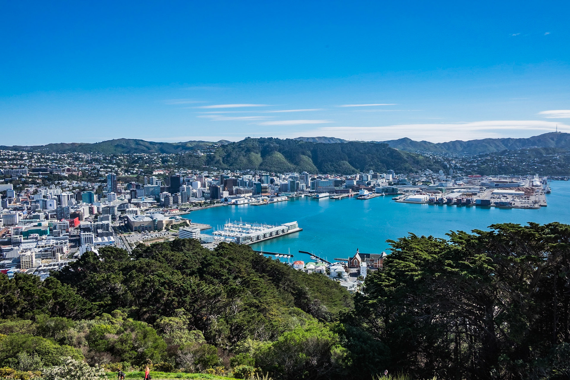View of Wellington