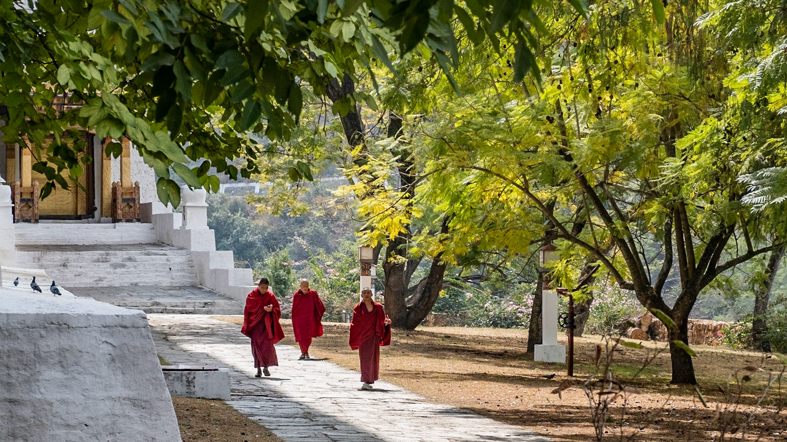 monks within the palace