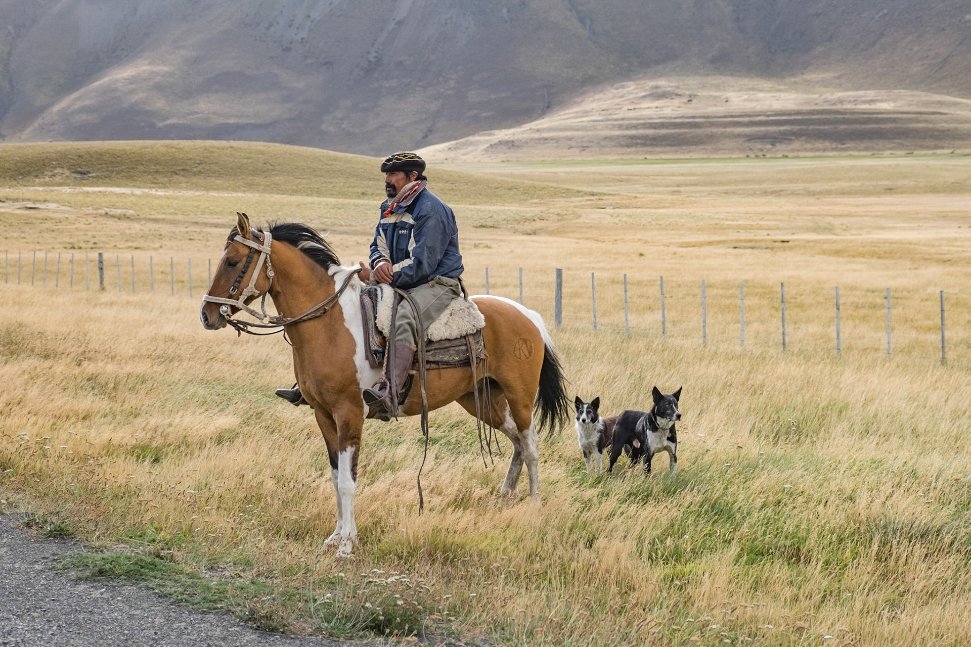 on the way to Calafate, Argentina - Mar 2016