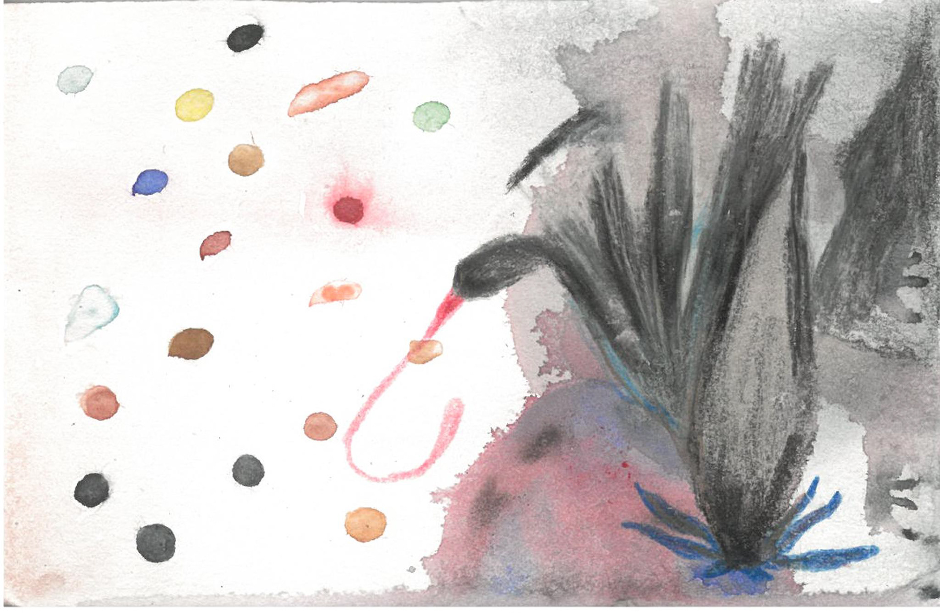 Swan, 2026, watercolor and pencil on paper, add size