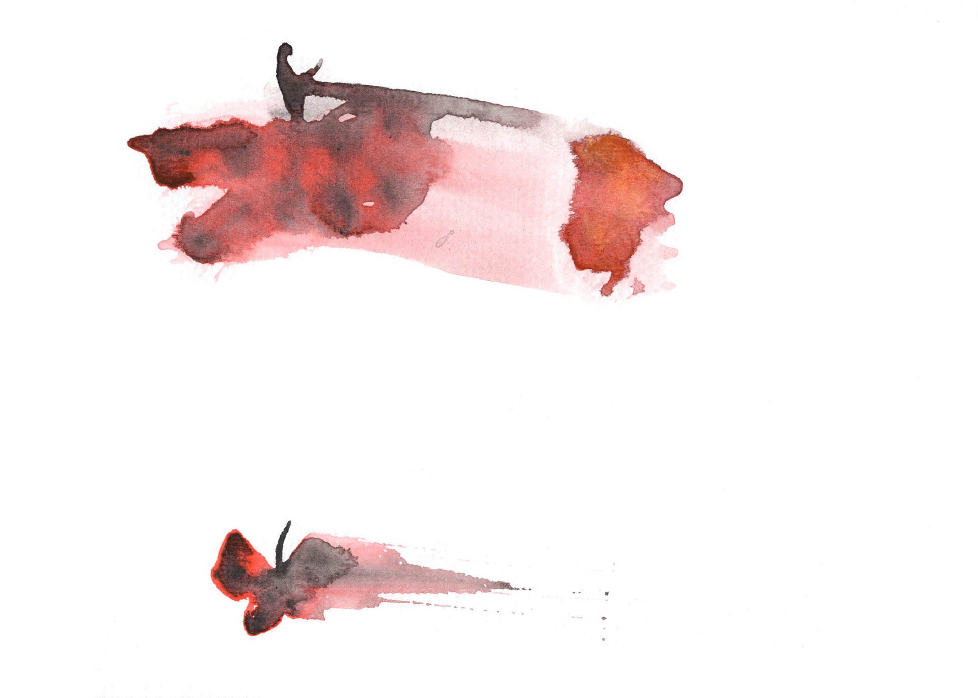 Damp Butterflies