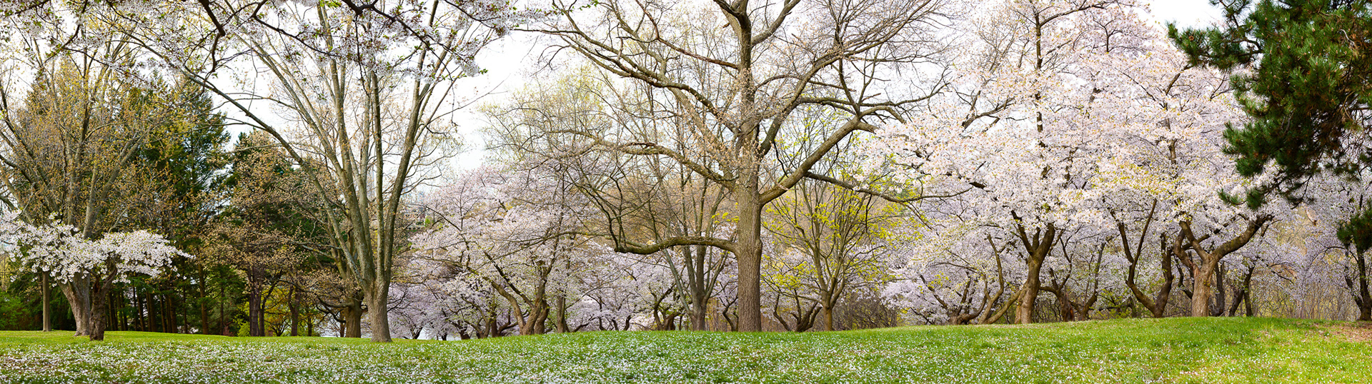 High Park, Toronto, Canada