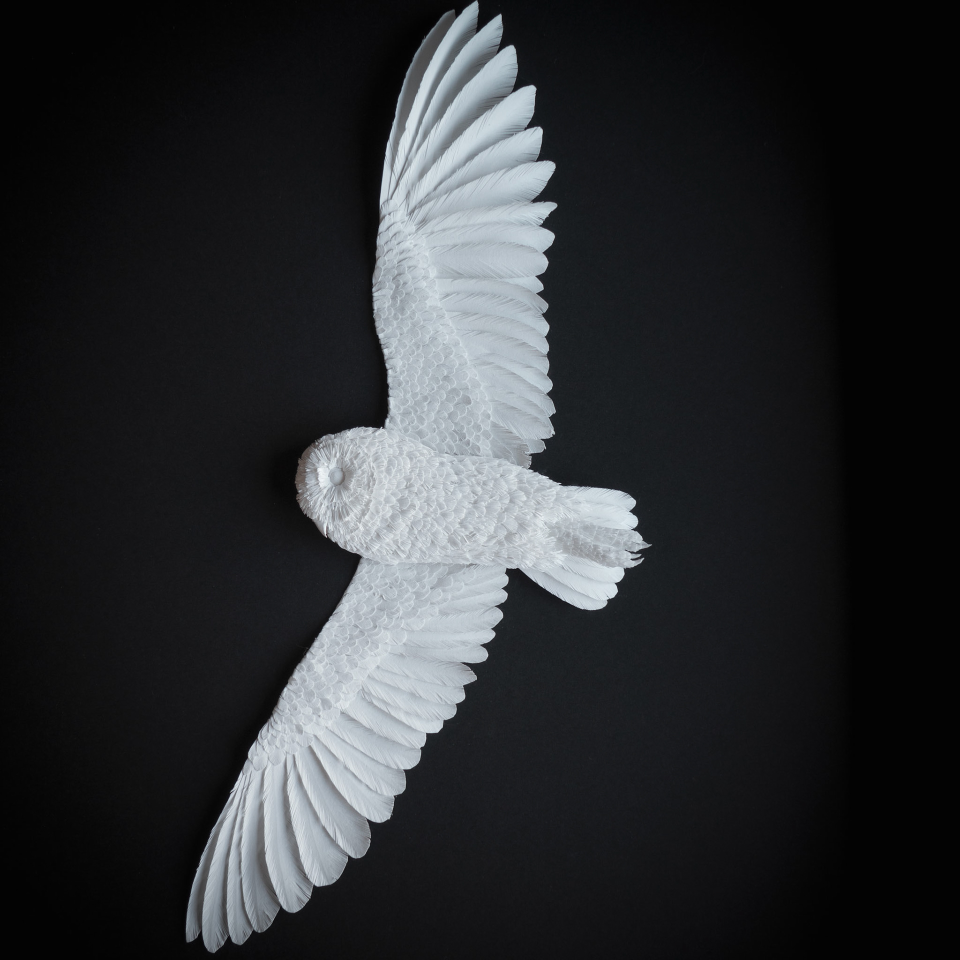 Paper Sculpture, Barn Owl