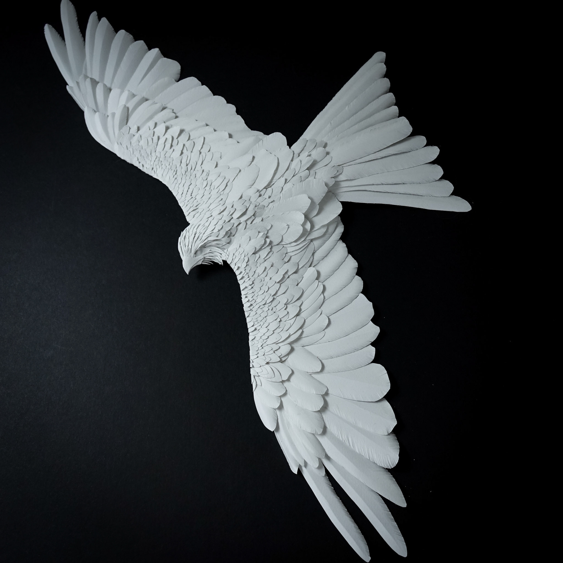 Paper Sculpture, Red Kite
