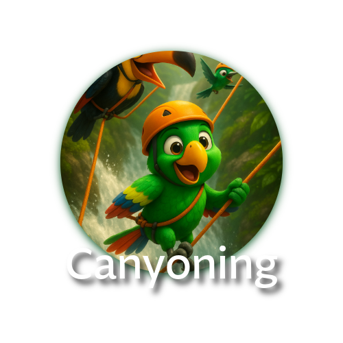 Dive into adventure with canyoning in Mindo’s rivers — waterfalls, natural pools, and vertical descents await!  Equipped with helmet, harness, and expert guides, this is pure adrenaline in the cloud forest.