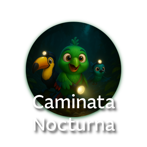 ¡Adéntrate en la magia del bosque nublado de noche!  Descubre ranas, serpientes, insectos y hasta madera fosforescente en esta caminata guiada de 1 hora.