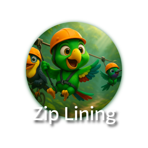 Fly above the Mindo cloud forest on 10 thrilling zip lines spanning 3,500 meters!  Safe, certified, and led by expert guides — this is the ultimate adventure in the treetops.