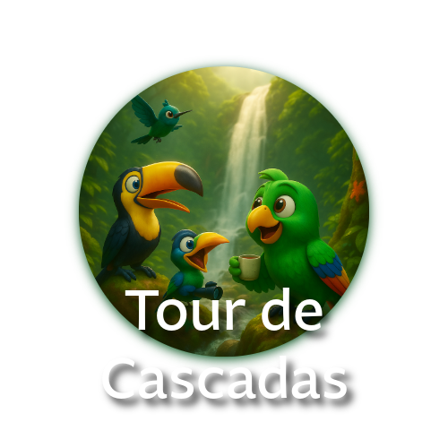 Descubre la magia de la Reserva del Chocó Andino — un bosque nublado con cascadas escondidas y la famosa cascada Nambillo.  Cruza el dosel en un teleférico con forma de colibrí y vive la emoción de la aventura en plena naturaleza.