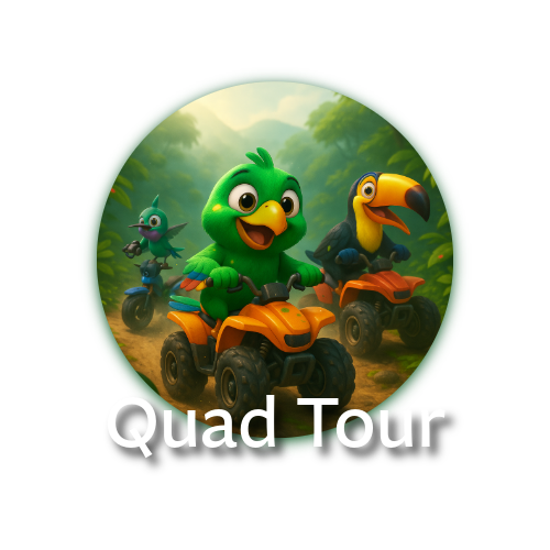 Rev up your adrenaline on our Quad Tour! Ride through jungle trails, cross suspension bridges, and splash by the river — all safely guided and fully equipped.  An adventure-packed hour in the heart of Mindo!