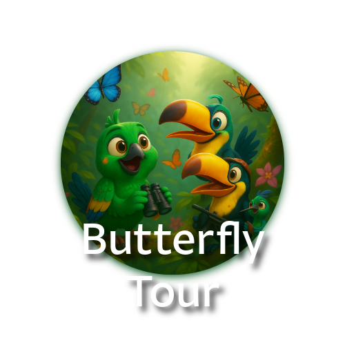 Step into a magical butterfly garden in Mindo! Witness over 1,000 butterflies in every stage of life, feed them by hand, and enjoy hummingbirds, orchids, and more.  A perfect family experience!