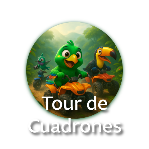 ¡Enciende tu adrenalina con nuestro Tour en Cuadrones! Recorre senderos selváticos, cruza puentes colgantes y pasa junto al río — todo con guía y equipo completo.  ¡Una hora de aventura en el corazón de Mindo!