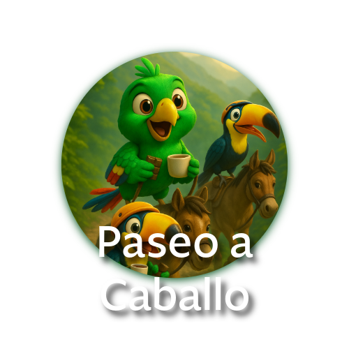 ¡Explora el bosque nublado de Mindo de la forma más clásica: a caballo! Recorre senderos ecológicos, ríos y cascadas, en tours que van desde una hora hasta un día completo.  Una mezcla perfecta de naturaleza, aventura y relajación.