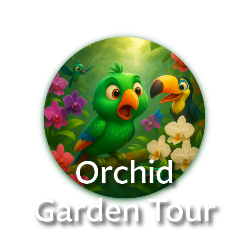 Step into a living rainbow at Mindo’s Orchid Garden! Discover over 250 native species — from the famous monkey-face orchid to dazzling hummingbird orchids — all in a sanctuary of conservation and beauty.