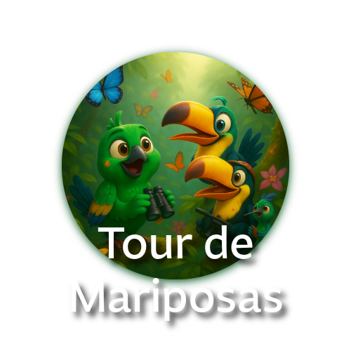 ¡Entra en un jardín mágico de mariposas en Mindo! Observa más de 1,000 mariposas en todas sus etapas, aliméntalas en tu mano y disfruta de colibríes, orquídeas y más.  ¡Una experiencia ideal para toda la familia!