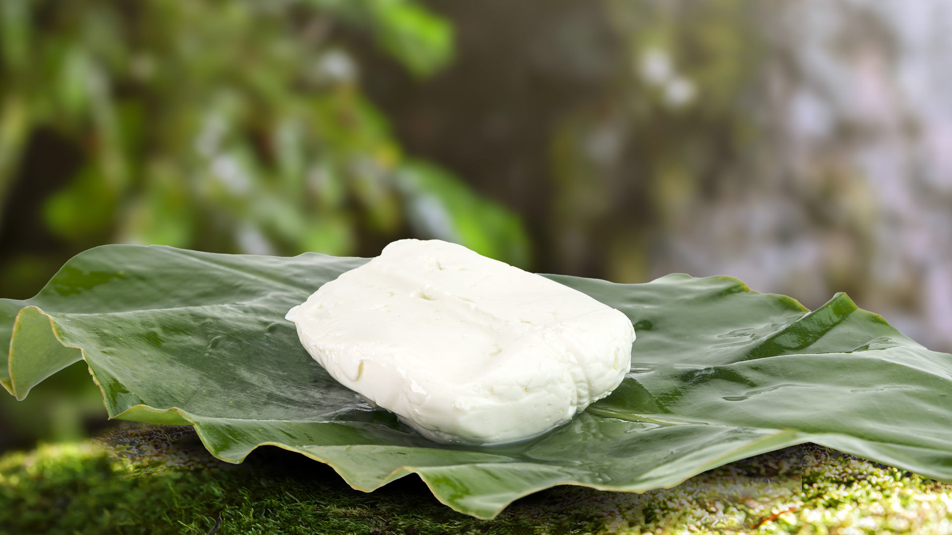 Queijo Fresco (Queijo Branco)