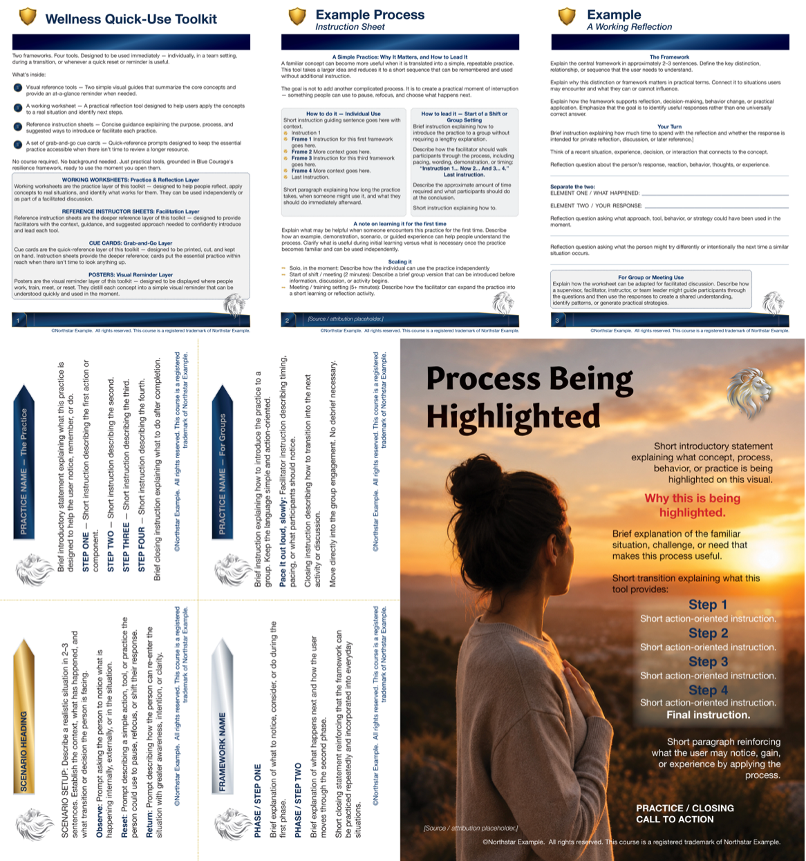 Sample Pages - Quick Use Toolkit