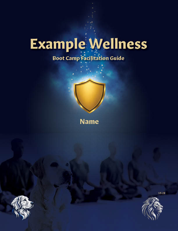 Facilitation Guidebook Cover Example
