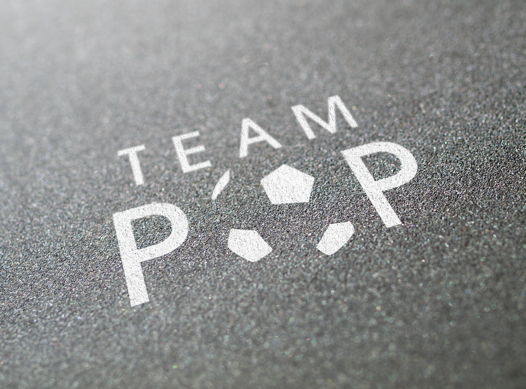 Logo for ladies soccer team (Adobe Illustrator)