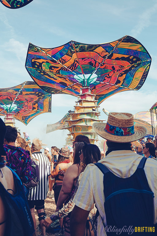 Are you ready to Woogie?