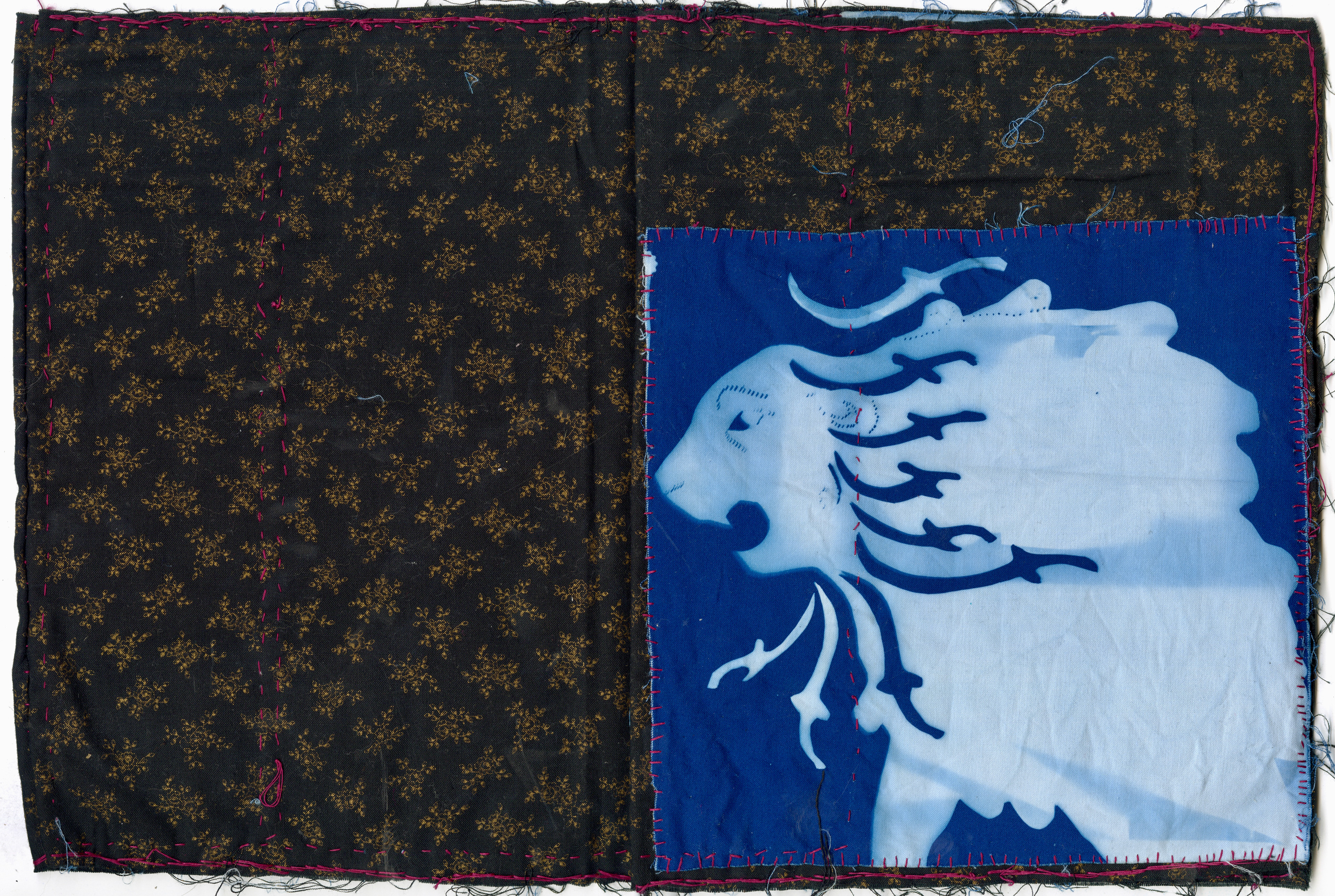 The Fierce Lion, Cyanotype on Fabric, 11 x 17 in, 2026