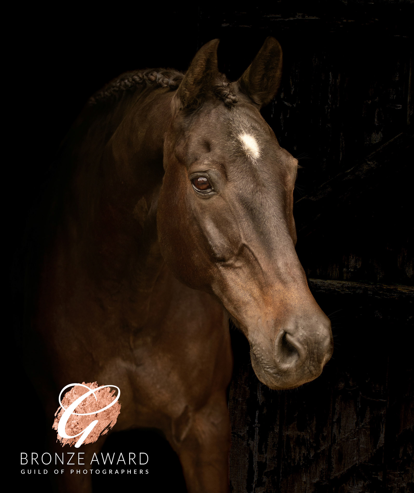 Black background recieves bronze