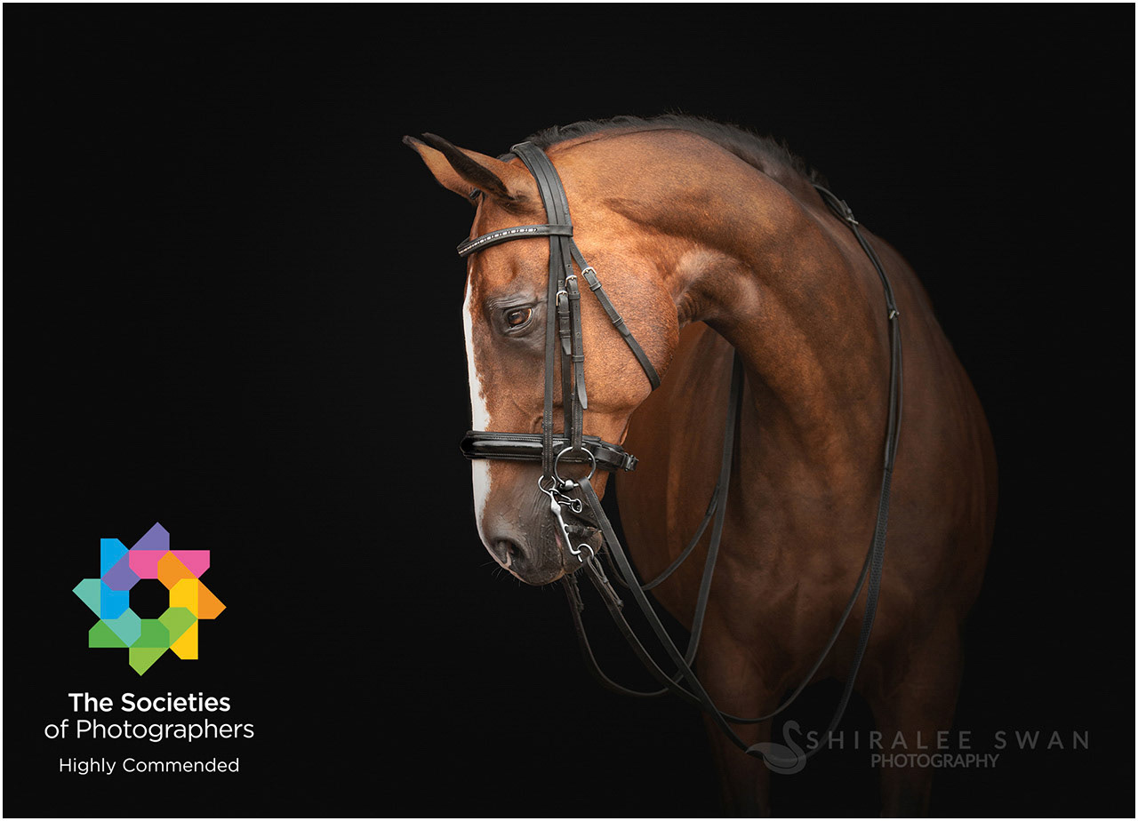 Black Background specialist photographer