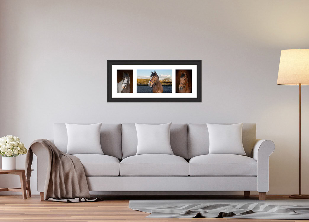 Multi Frame