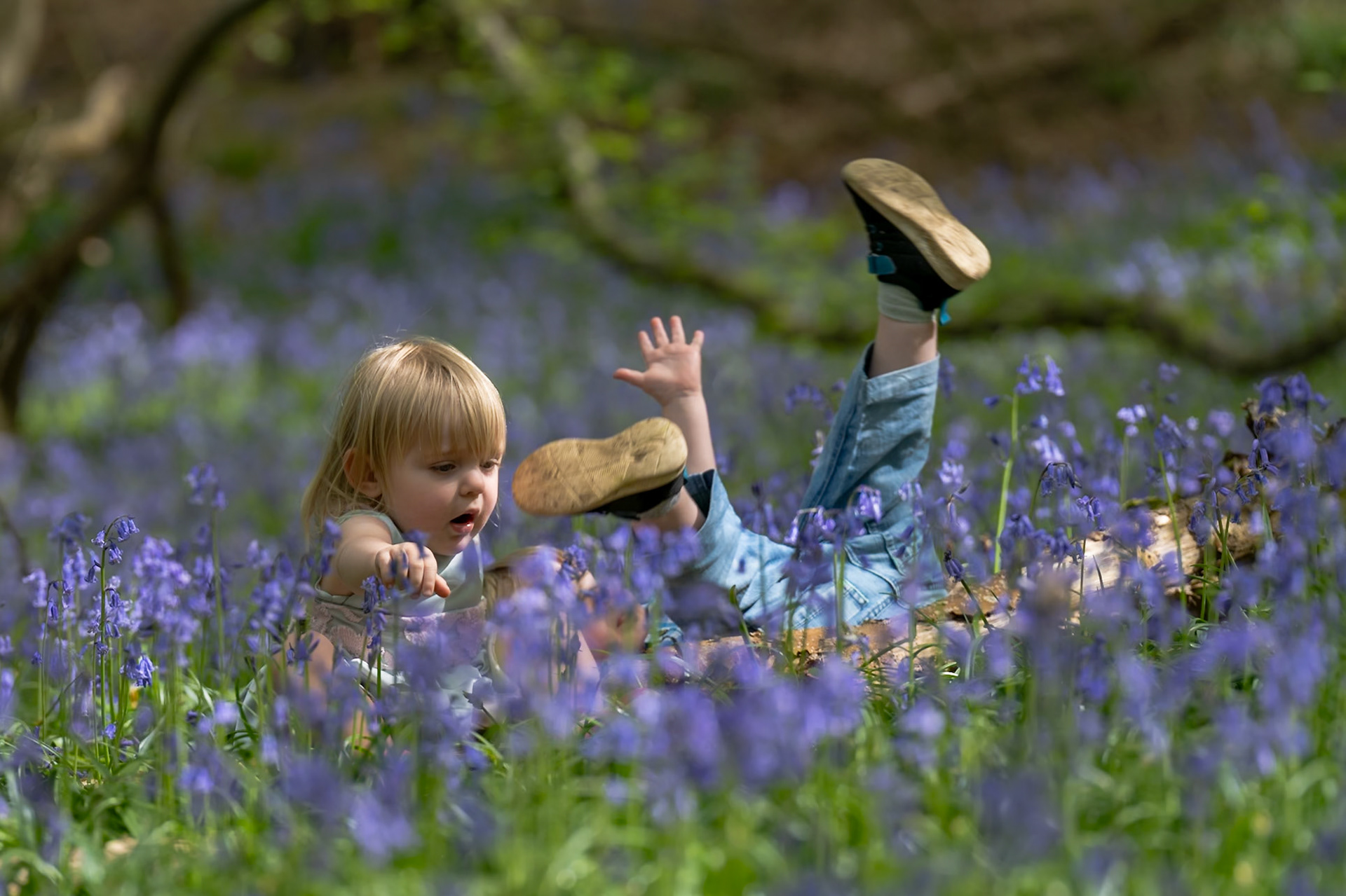 Oops! Bluebell mini sessions