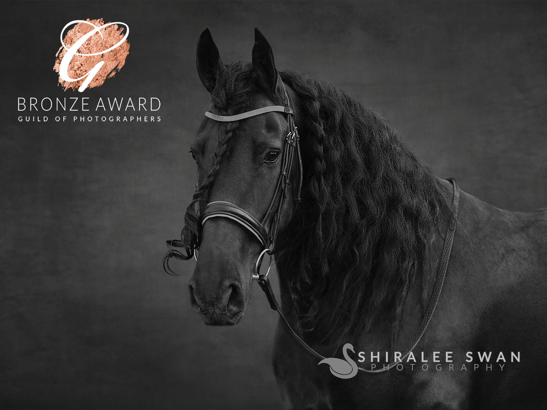 Awarded Friesian by Shiralee Swan