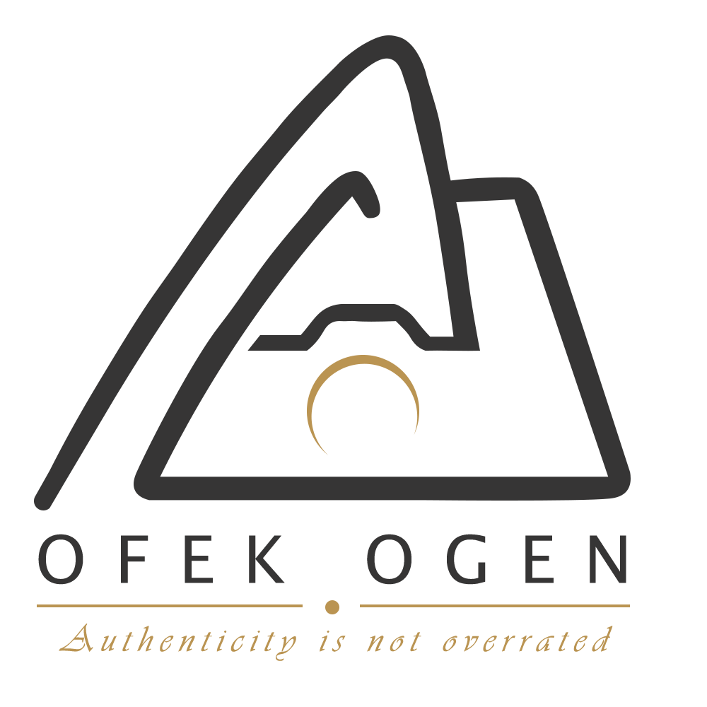 Ofek Ogen