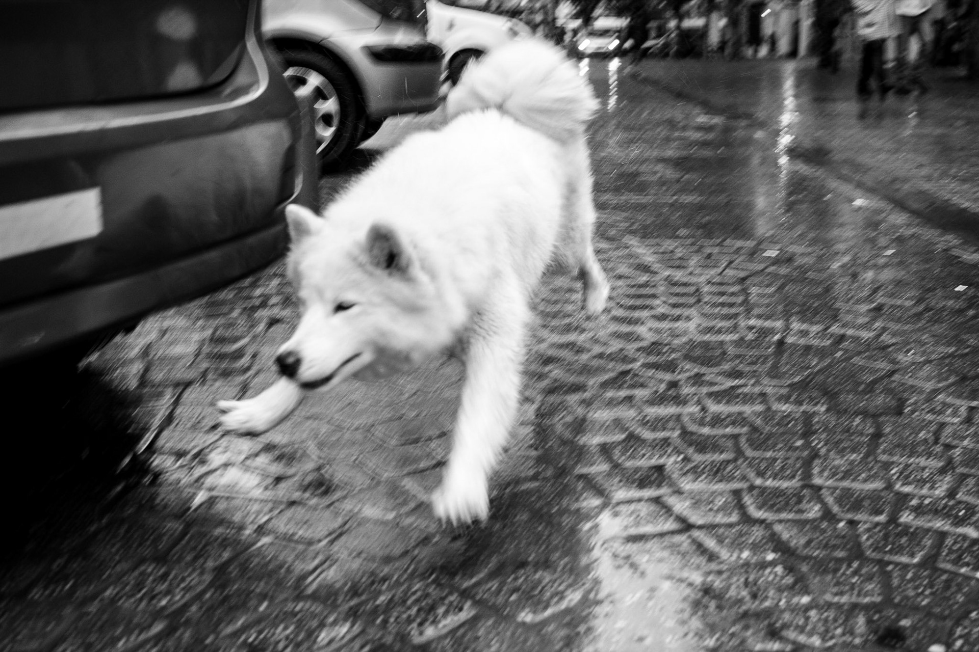 Street Photography
