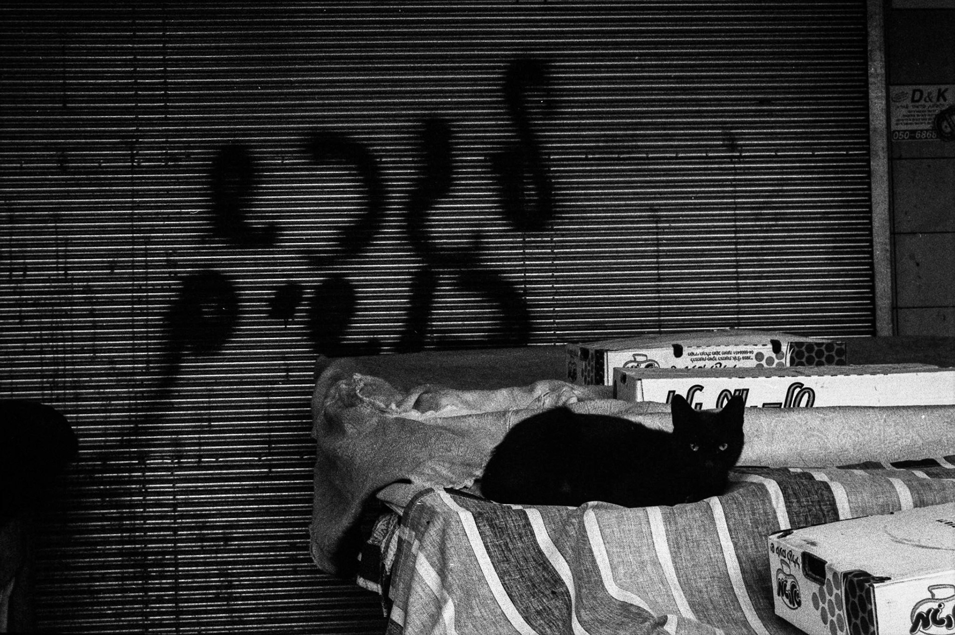 Street Photography